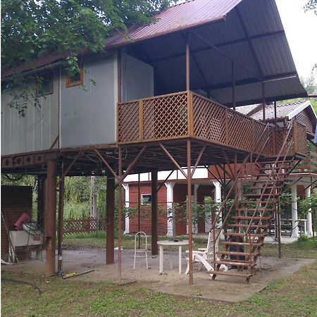 Viziszony Tisza Nyaralo Villa Mindszent Bagian luar foto