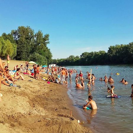 Viziszony Tisza Nyaralo Villa Mindszent Bagian luar foto